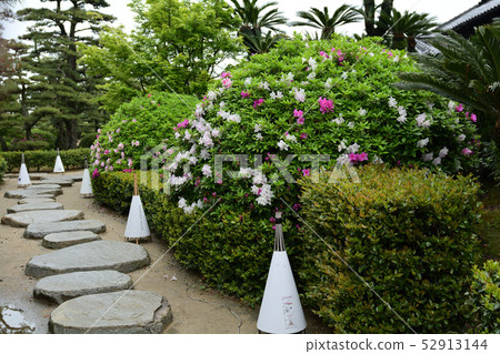Japan's 100 Great Castles / Takamatsu Castle 52913144