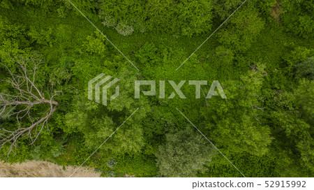 Drone's Eye View - aerial top down view of foliage trees background, Caucasus, Russia. 52915992