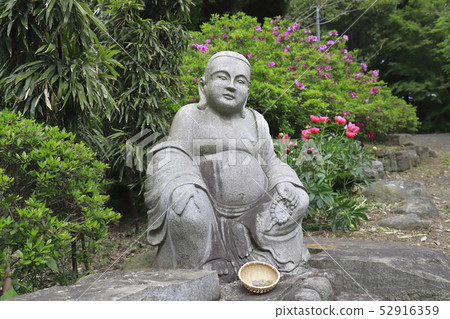 茨城縣筑波市筑波牡丹園 茨城縣筑波市筑波牡丹園 52916359