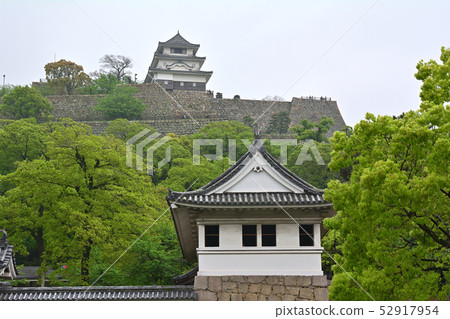 Japan's 100 Great Castles / Marugame Castle 52917954