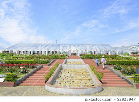 A panoramic view of Shimada City Baranooka Park (Shimada City, Shizuoka Prefecture) A panoramic view of Shimada City Baranooka Park (Shimada City, Shizuoka Prefecture) 52925947