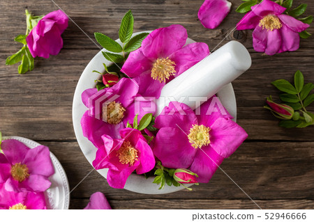 Fresh rosa rugosa flowers in a mortar Fresh rosa rugosa flowers in a mortar 52946666