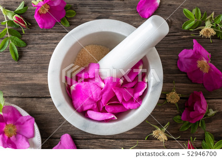 Rosa rugosa petals with cane sugar in a mortar Rosa rugosa petals with cane sugar in a mortar 52946700