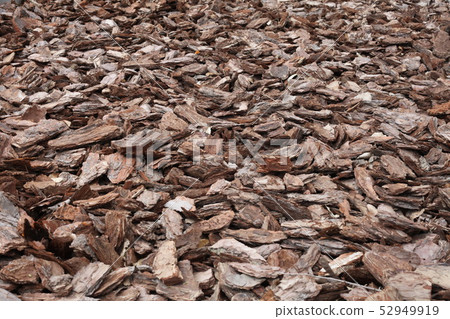 Shredded pine bark for mulching. 52949919