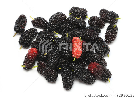 Mulberry Fruit Mulberry 52950133