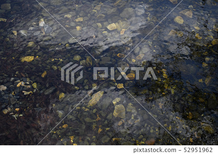 石頭在水中 52951962