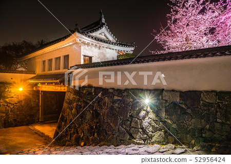 櫻花現貨！晚上在辰野城本丸御殿觀賞櫻花（兵庫縣辰野市）*作品註釋欄中的拍攝位置 52956424