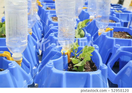 播種機培育小學 播種機培育小學 52958120