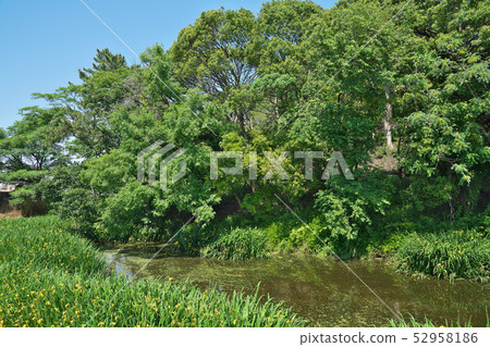 [Tombyama Tumulus] 3 Shiratori, Habikino City, Osaka Prefecture 52958186