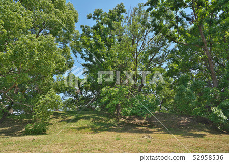 [Jōgenji Mountain Tumulus] 1 Aoyama, Fujiidera City, Osaka Prefecture 52958536