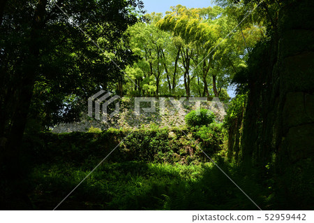 Japan's 100 Great Castles, Uwajima Castle 52959442