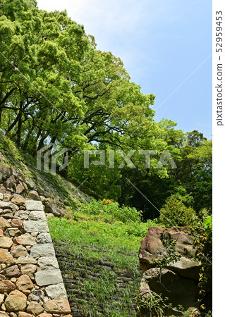 Japan's 100 Great Castles, Uwajima Castle 52959453