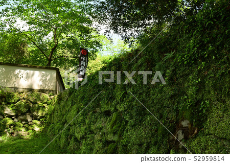 Japan's 100 Great Castles, Uwajima Castle Japan's 100 Great Castles, Uwajima Castle 52959814