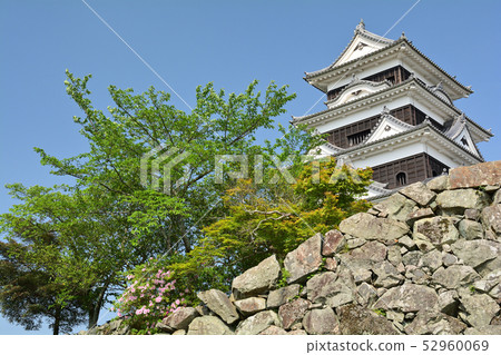 日本的100座大城堡/ Owaki城堡 日本的100座大城堡/ Owaki城堡 52960069