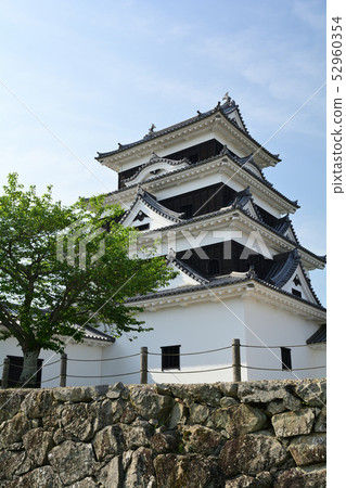 Japan's 100 Great Castles / Owaki Castle 52960354