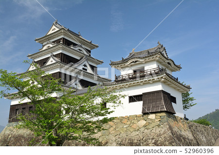 Japan's 100 Great Castles / Owaki Castle Japan's 100 Great Castles / Owaki Castle 52960396