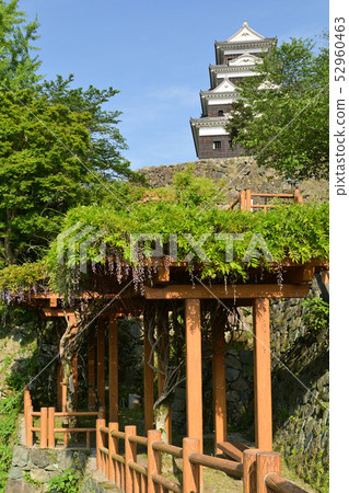 日本的100座大城堡/ Owaki城堡 日本的100座大城堡/ Owaki城堡 52960463