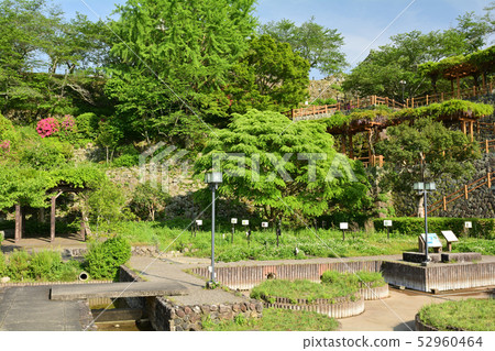 Japan's 100 Great Castles / Owaki Castle 52960464