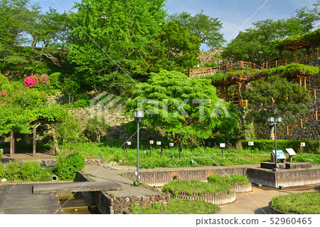 Japan's 100 Great Castles / Owaki Castle 52960465