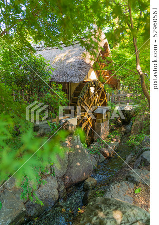 東京調布Shindaiji水博物館 52960561