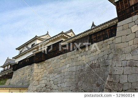 Japan's 100 Great Castles / Matsuyama Castle 52960814