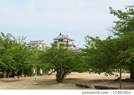Japan's 100 Great Castles / Matsuyama Castle 52961002