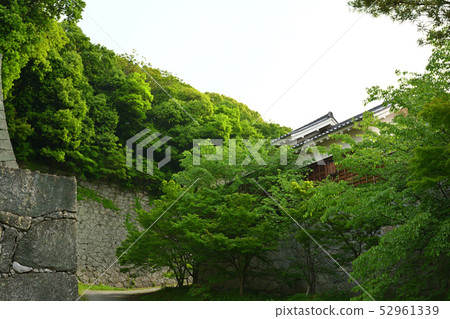 Japan's 100 Great Castles / Matsuyama Castle 52961339
