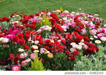 Spring flower bed 52962333