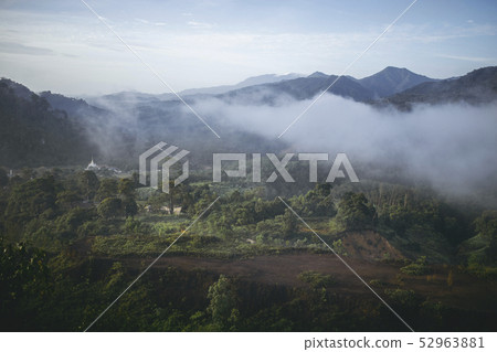 Top view forest and mountain layer. Top view forest and mountain layer. 52963881