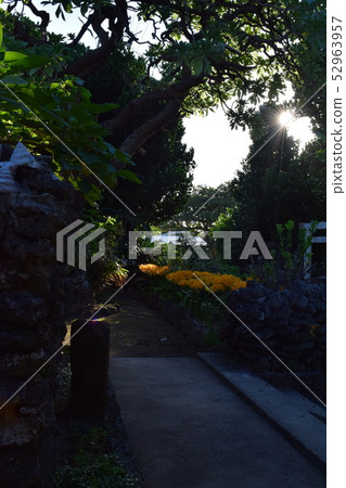 Landscape with Higanbana Landscape with Higanbana 52963957