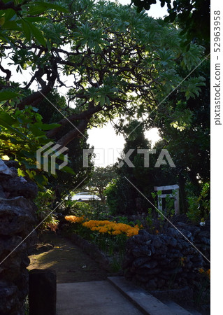 Landscape with Higanbana Landscape with Higanbana 52963958