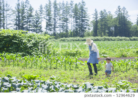 Parent and child walking in the field 52964629