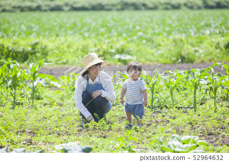 Parent and child walking in the field 52964632