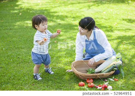 夏季蔬菜豐收 52964951