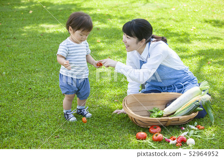 夏季蔬菜豐收 夏季蔬菜豐收 52964952