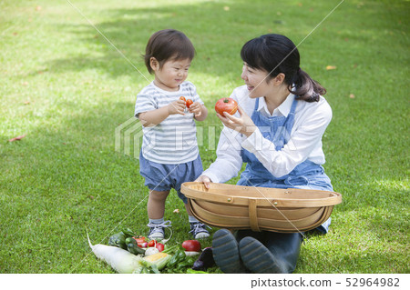 夏季蔬菜豐收 52964982
