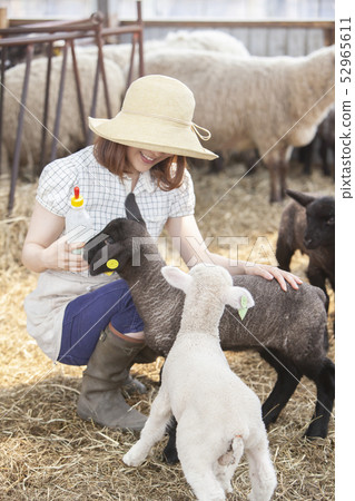 Woman giving milk to lamb Woman giving milk to lamb 52965611
