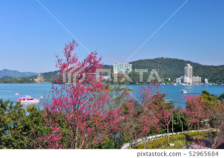 櫻花盛開和湖的風景 52965684