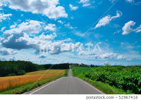 Scenery around the hill of Asahikawa Nominate Scenery around the hill of Asahikawa Nominate 52967418