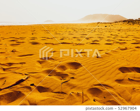 Sandy  Golden Beach, Karpasia, Cyprus 52967904