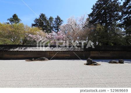 Ryoanji Stone garden Weeping cherry tree 52969669