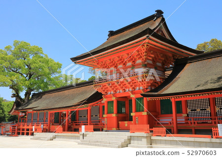 宇佐神宮本殿(宇佐市國寶) 宇佐神宮本殿(宇佐市國寶) 52970603