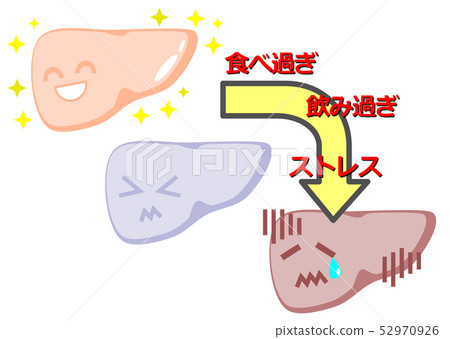 肝臟的例證 52970926