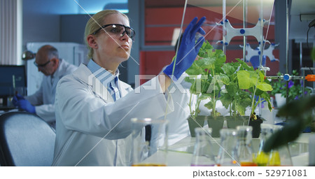 Scientist using a flat transparent display screen Scientist using a flat transparent display screen 52971081