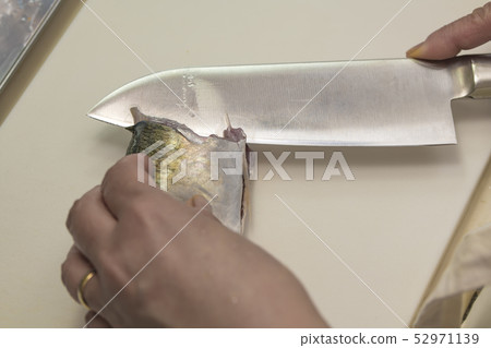 [Grilled mackerel] 52971139