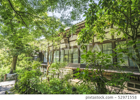 Engakuji Temple Tohyou Hakumein（鎌倉市山之內） 52971558