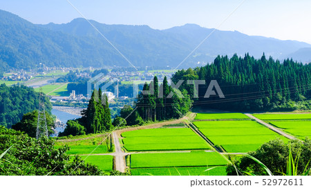 Rural landscape in summer Rural landscape in summer 52972611