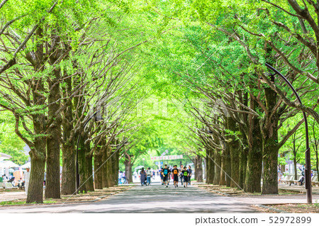 東京練馬區春光山公園 52972899