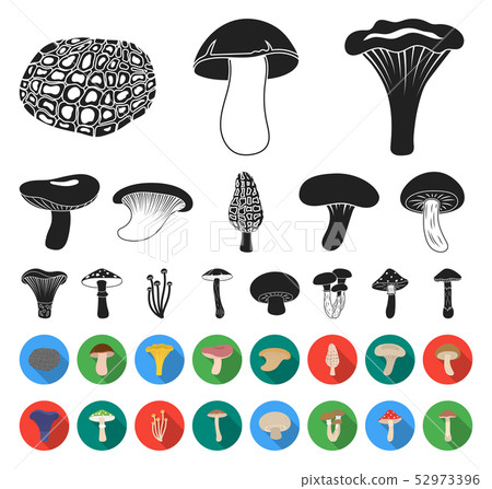 Poisonous and edible mushroom black,flat icons in set collection for design. Different types of Poisonous and edible mushroom black,flat icons in set collection for design. Different types of 52973396