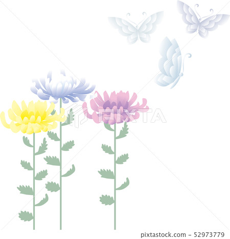菊花和蝴蝶 菊花和蝴蝶 52973779